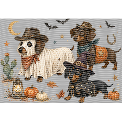 Halloween-WS 12000